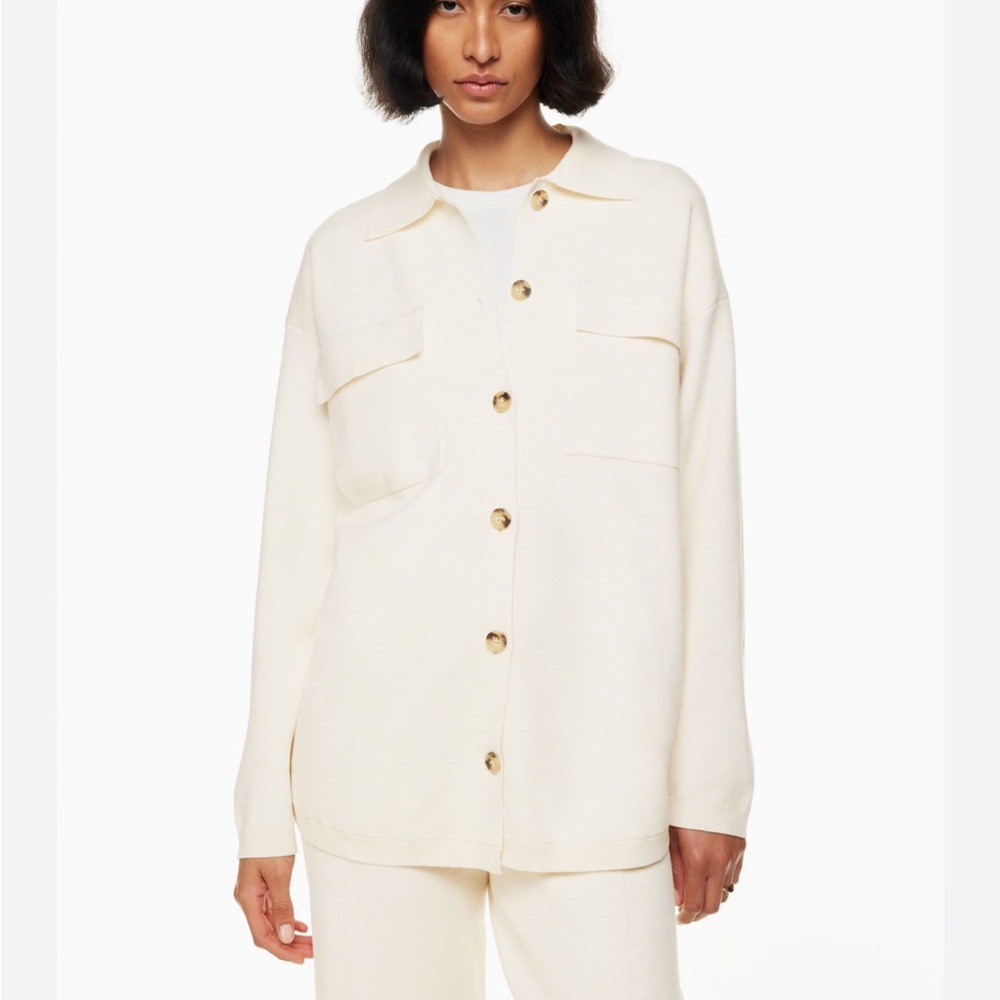 Aritzia Ronnie sweater